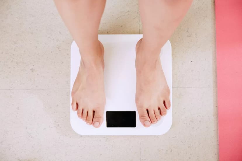 Best Keto Diet Plan For Beginners